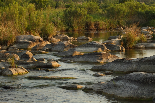 Llano River 2AM-106408_7D small