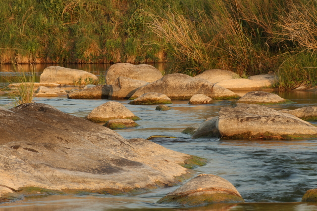 Llano River 2AM-106421_7D small
