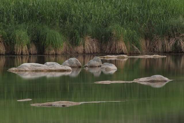 Llano River 2AM-106459_7D small