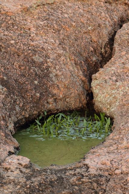 Mason Mountain 2AM-107250_7D small