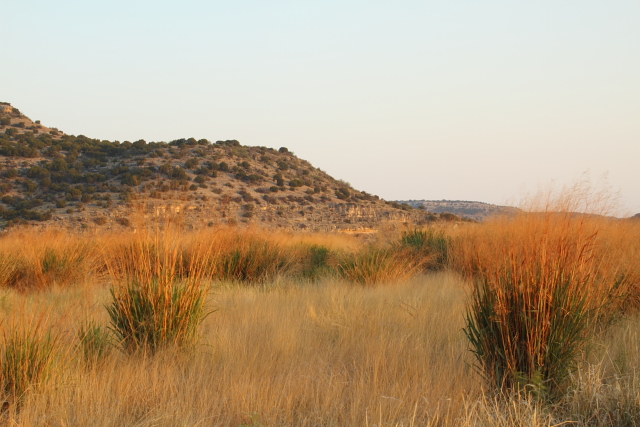 TNC Independence Creek Preserve 2AM-105998_7D small