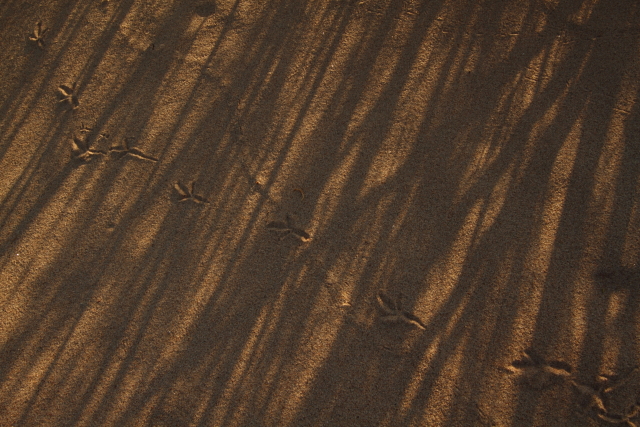 Brazos River 2AM-107609_7D_blog
