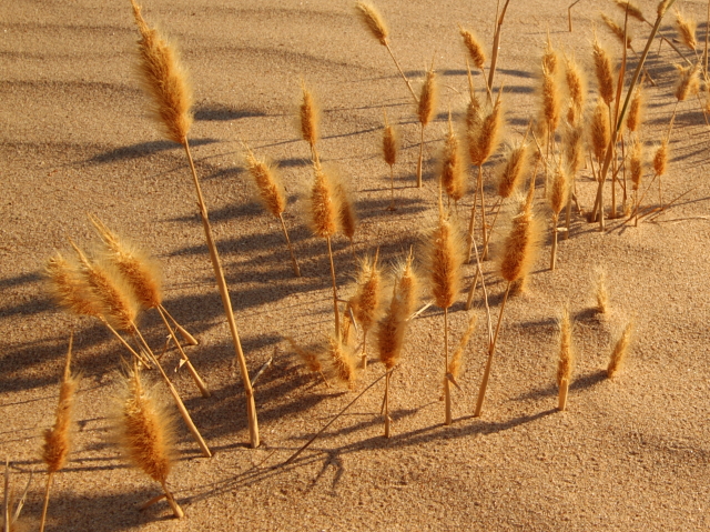 Brazos River 2AM-107615_7D_blog