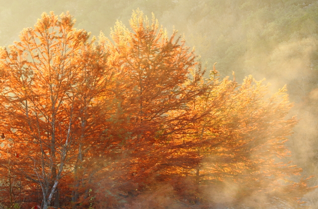 Garner State Park 2AM-27738_30D