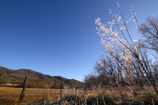 Frosted 2AM-109278_7D_blog