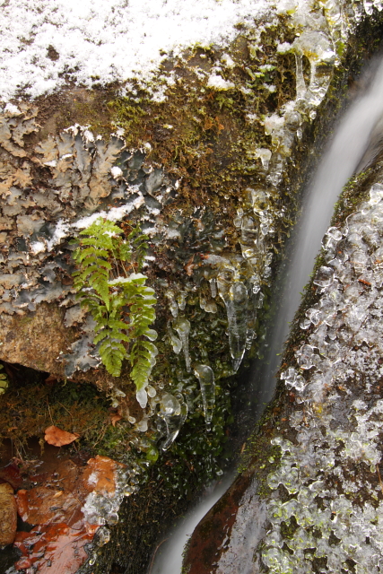 Roaring Fork 2AM-109529_7D