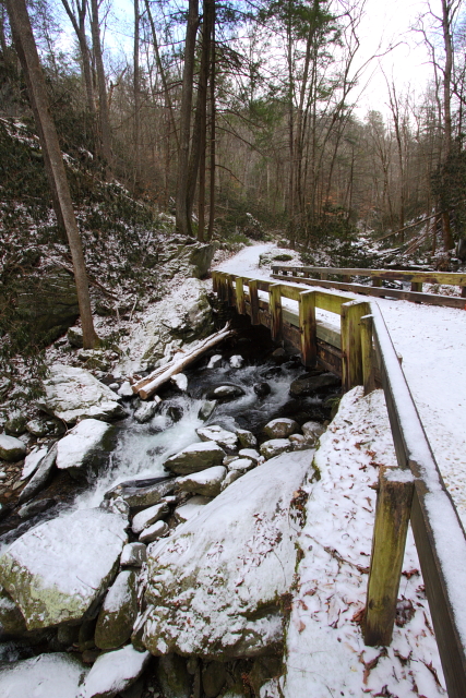 Roaring Fork 2AM-109557_7D