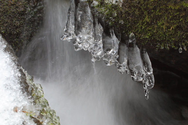 Roaring Fork 2AM-28237_30D