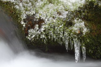 Roaring Fork 2AM-28254_30D