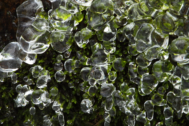 Roaring Fork 2AM-28255_30D