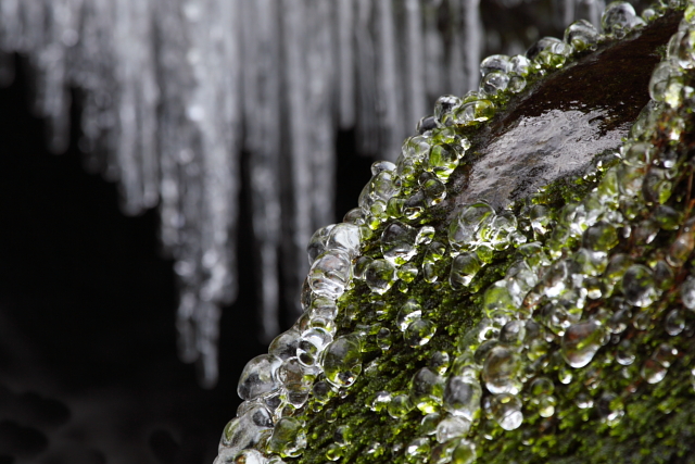 Roaring Fork 2AM-28271_30D