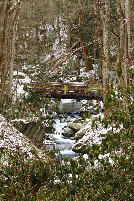 Roaring Fork 2AM-28348_30D