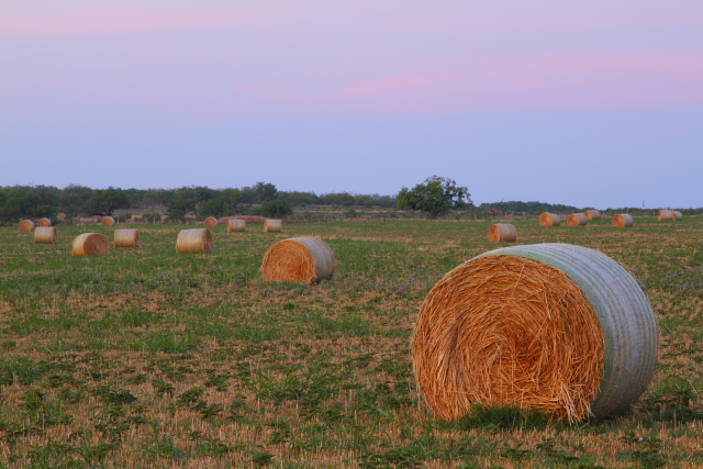 Hay Bales 2AM-110412_7D