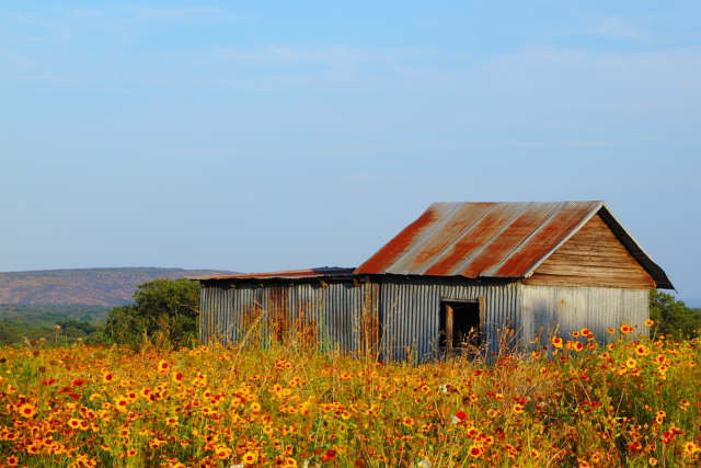 Pontotoc Shed 2AM-110588_7D