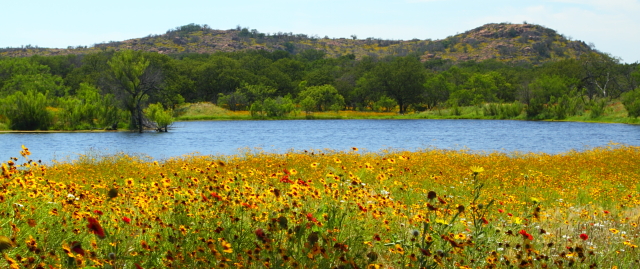 Wildflowers and Lake 2AM-110499_7D