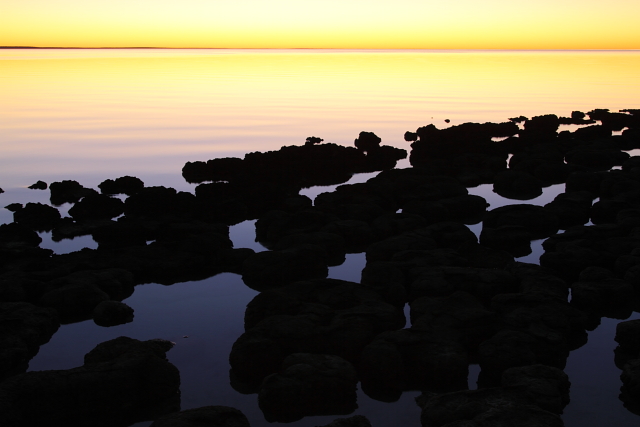 Stromatolites - Hamlin Pool 2AM-111187_7D_blog