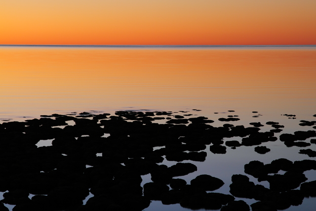 Stromatolites - Hamlin Pool 2AM-111193_7D_blog