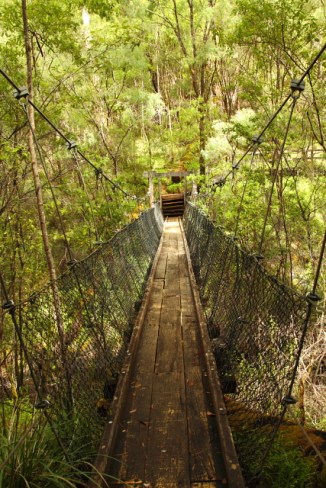 Beedelup Falls - Pemberton 2AM-113050_7D