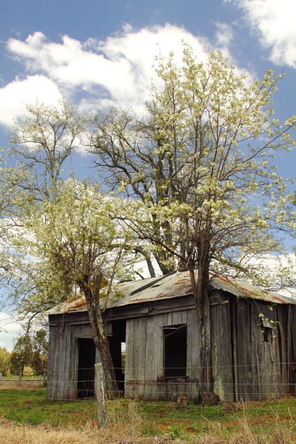 Boyanup Ruin 2AM-112251Canon 7D with Canon 24-105mm f/4 lens. © Andrew and Allison McInnes/2AM Photography. All rights reserved.