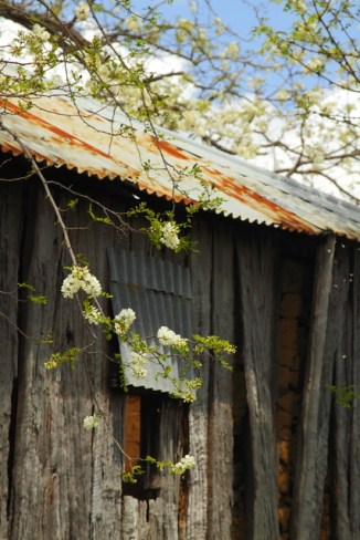 Boyanup Ruin 2AM-112258_7D