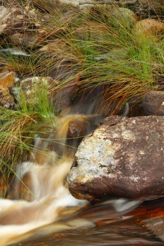 Fernhook Falls 2AM-112855_7D