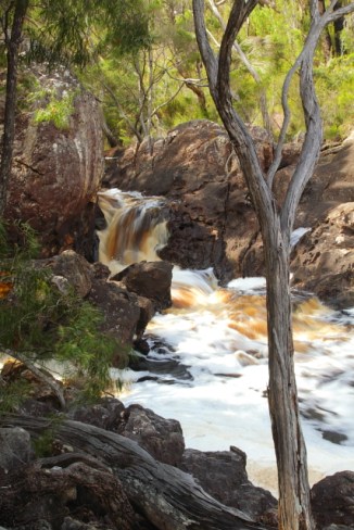 Fernhook Falls 2AM-112874_7D