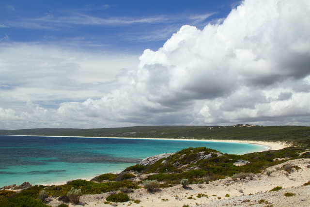 Hamelin Bay 2AM-113080_7D