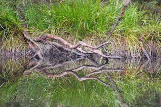 Warren River 2AM-112934_7D