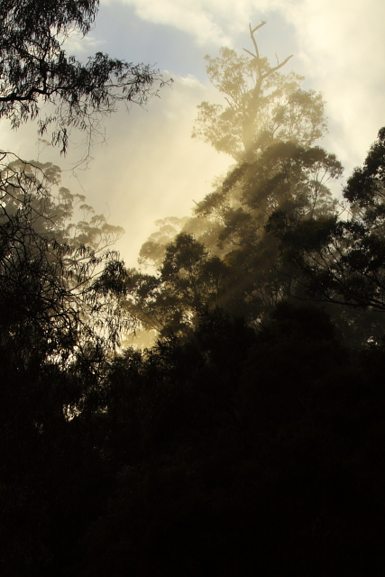 Warren River 2AM-112953_7D