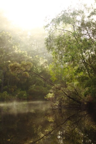 Warren River 2AM-112983_7D