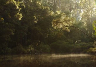 Warren River 2AM-112995_7D