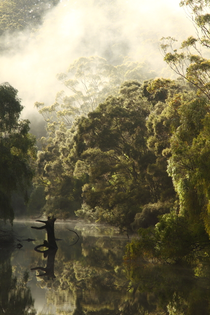 Warren River 2AM-113012_7D