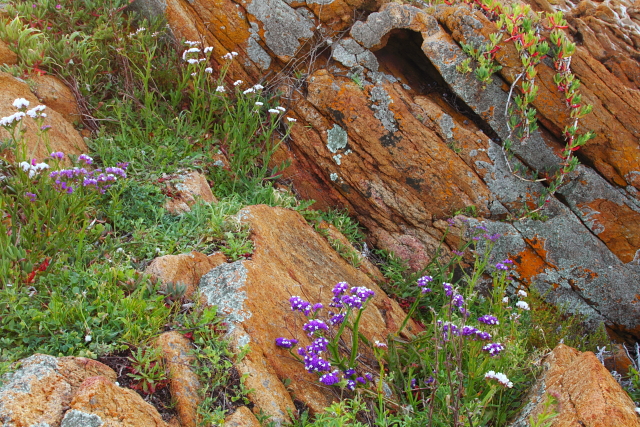 Yallingup 2AM-111964_7D