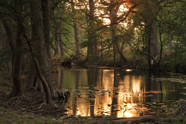11_Sabinal River_Andrew McInnes-2AM-106270_small