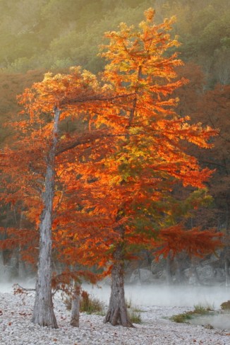 17_Garner State Park_Andrew McInnes-2AM-27737_small