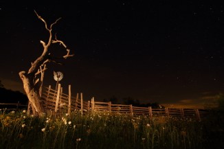 18_Stockyards_Andrew McInnes-2AM-110286_small