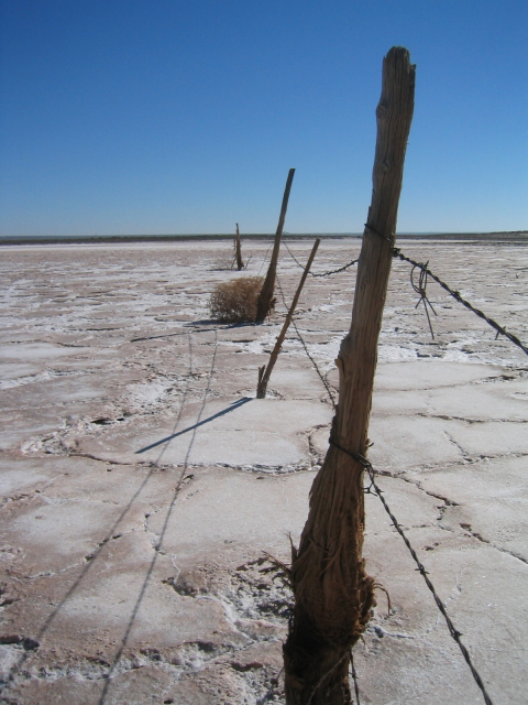 22_Salt Flat_Andrew McInnes-2AM-0010_small