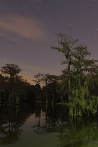 4_Caddo Lake State Park_Andrew McInnes-2AM-114548_small