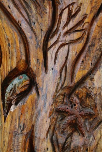 Details on Dolphin_Dorado_Moray Eel 2AM-114504_7D_blog