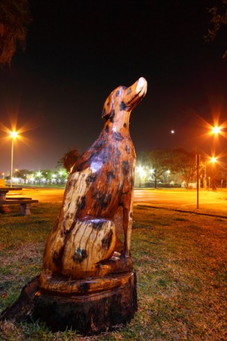 Firehouse Dalmatian 2AM-114437_7D_blog