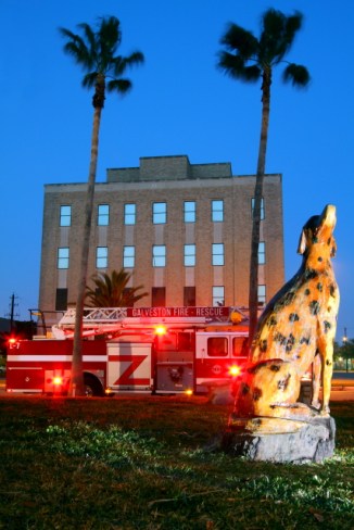 Firehouse Dalmatian 2AM-114946_7D_edited_blog
