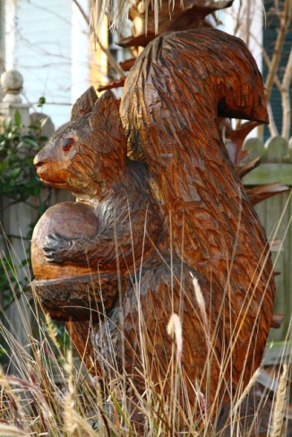 Squirrel with Acorn 2AM-114497_7D_blog