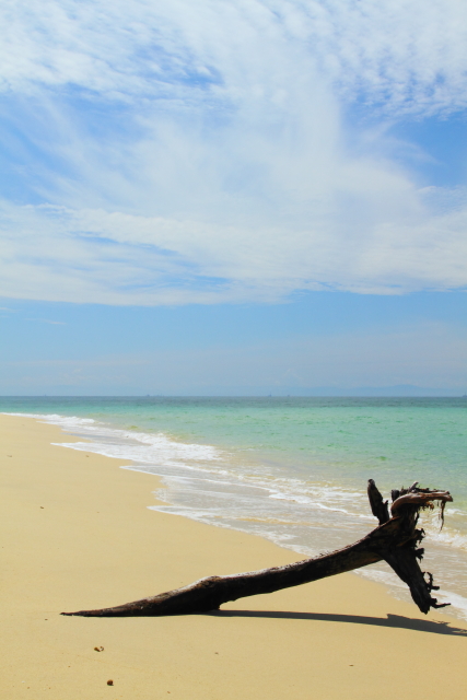 Palau Rusukan Kecil - Malaysia 2AM-117014 Palau Rusukan Kecil - Malaysia 2AM-117014_7D