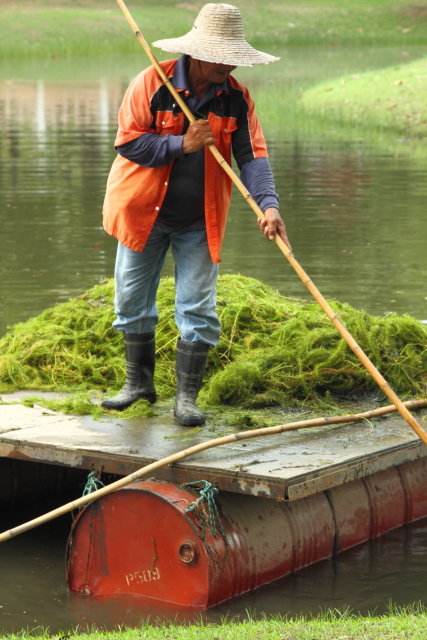 Pond Cleaning Man - Labuan 2AM-116954 Pond Cleaning Man - Labuan 2AM-116954_7D