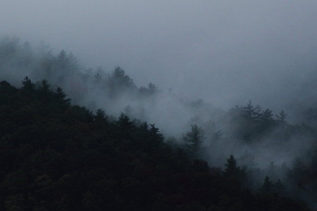 Great Smoky Mountains_2AM-000528