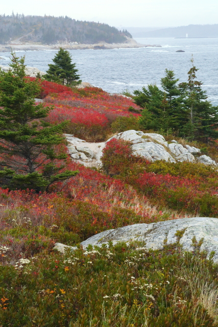 Herring Cove 2AM-001025