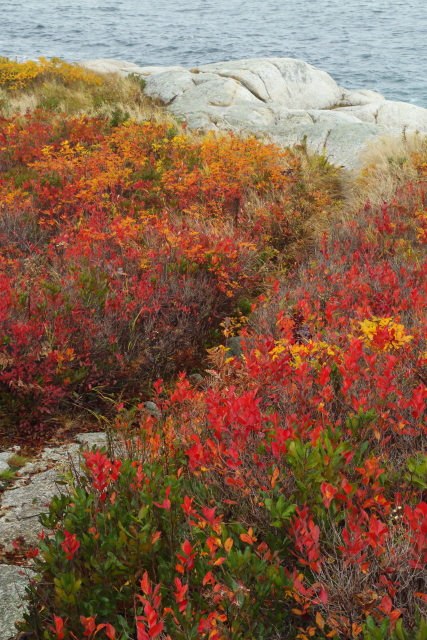 Herring Cove 2AM-001027
