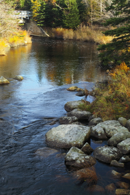 Herring Cove 2AM-001043