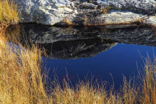 Herring Cove 2AM-001062
