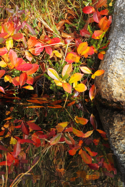 Herring Cove 2AM-001115